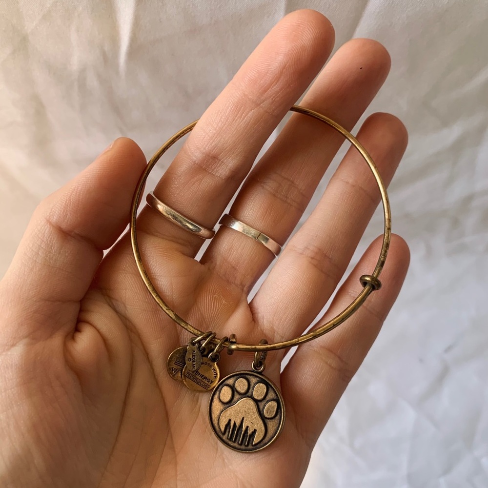Alex + Ani Bracelets - Picture 9 of 11